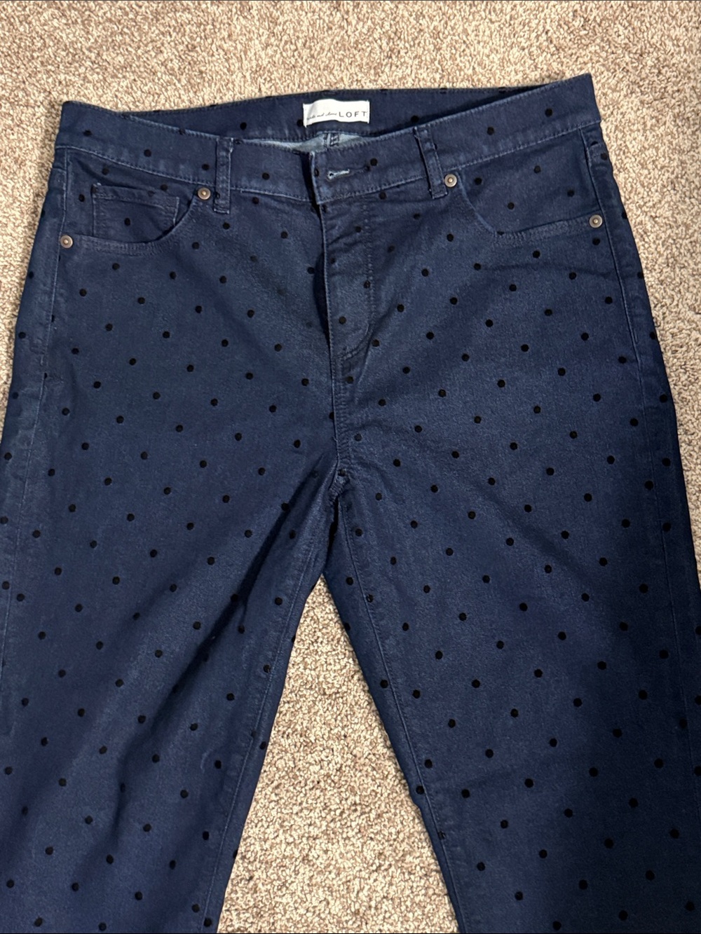 LOFT Blue Denim Pants with Black velvet Polka Dots